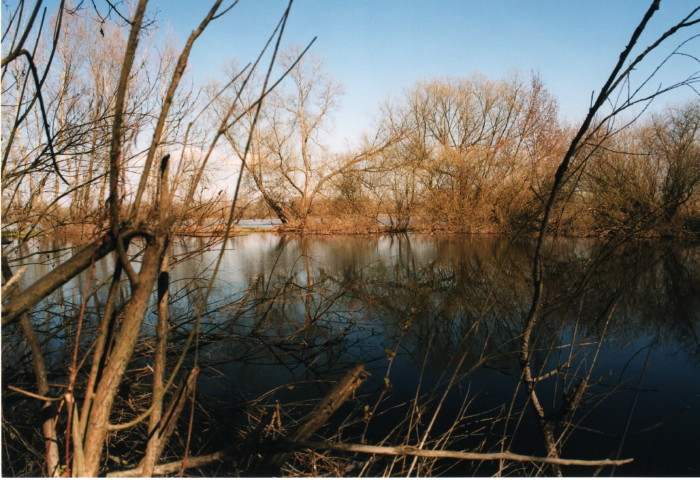 Shrap-Drakers.pl | Shrap Drakers Fishing | Wędkarstwo 