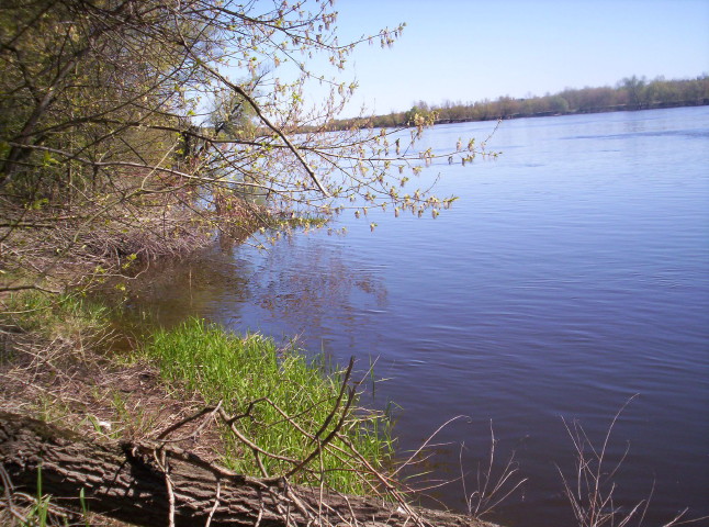 Shrap-Drakers.pl | Shrap Drakers Fishing | Wędkarstwo 