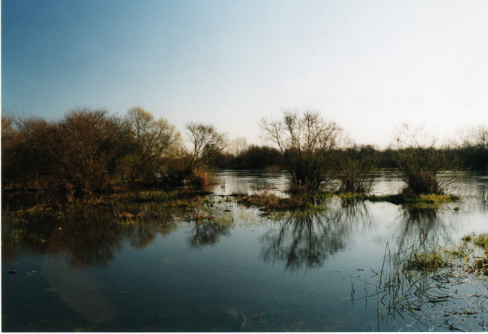 Shrap-Drakers.pl | Shrap Drakers Fishing | Wędkarstwo 