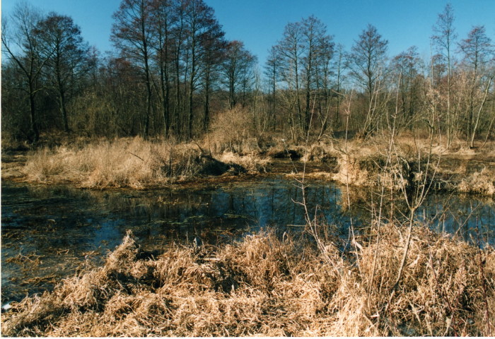 Shrap-Drakers.pl | Shrap Drakers Fishing | Wędkarstwo 