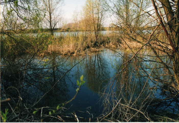 Shrap-Drakers.pl | Shrap Drakers Fishing | Wędkarstwo 