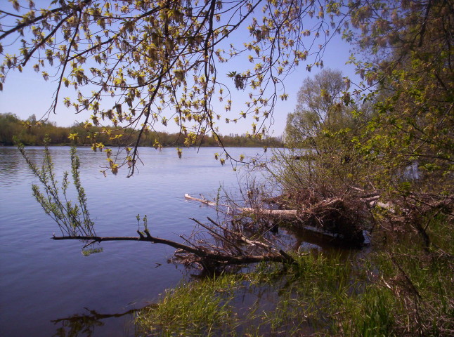 Shrap-Drakers.pl | Shrap Drakers Fishing | Wędkarstwo 