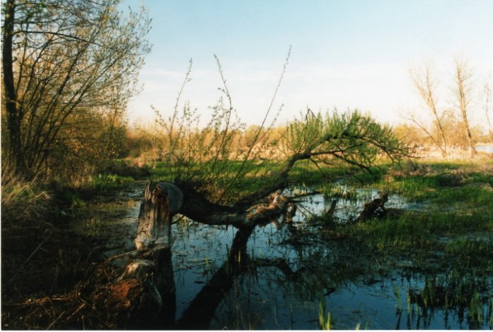 Shrap-Drakers.pl | Shrap Drakers Fishing | Wędkarstwo 