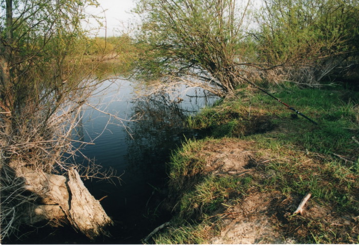 Shrap-Drakers.pl | Shrap Drakers Fishing | Wędkarstwo 