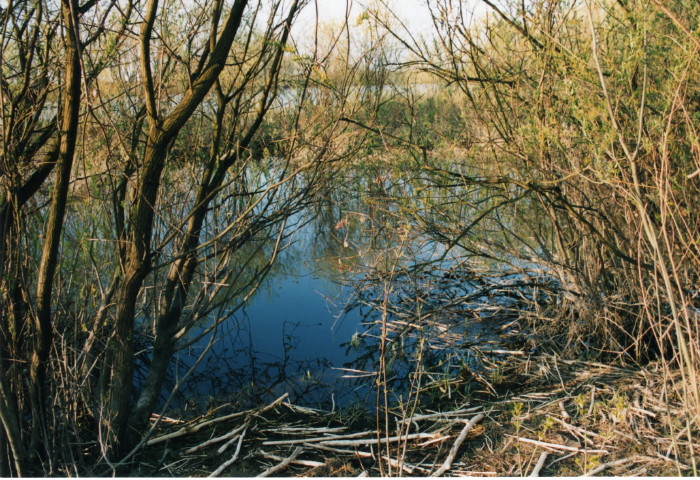 Shrap-Drakers.pl | Shrap Drakers Fishing | Wędkarstwo 