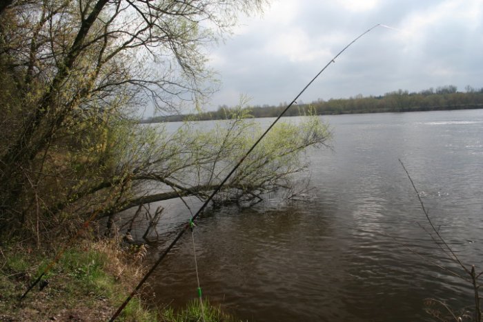 Shrap-Drakers.pl | Shrap Drakers Fishing | Wędkarstwo 