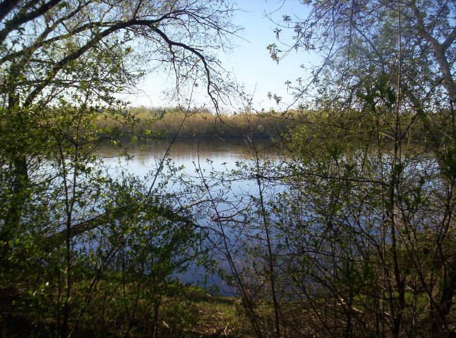 Shrap-Drakers.pl | Shrap Drakers Fishing | Wędkarstwo 