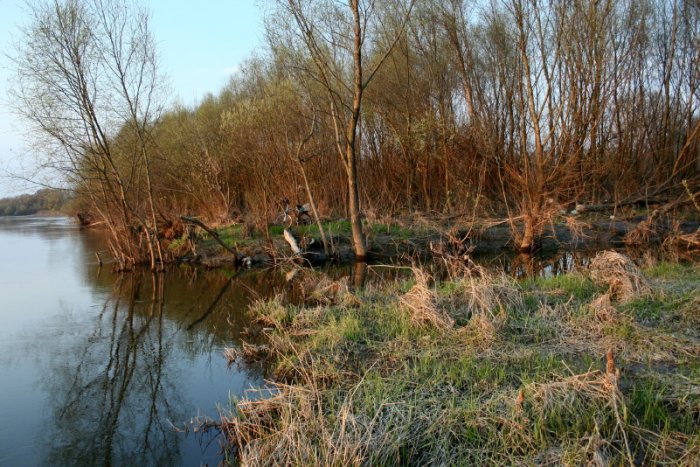 Shrap-Drakers.pl | Shrap Drakers Fishing | Wędkarstwo 