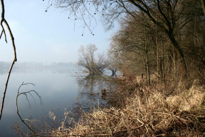 Shrap-Drakers.pl | Shrap Drakers Fishing | Wędkarstwo 