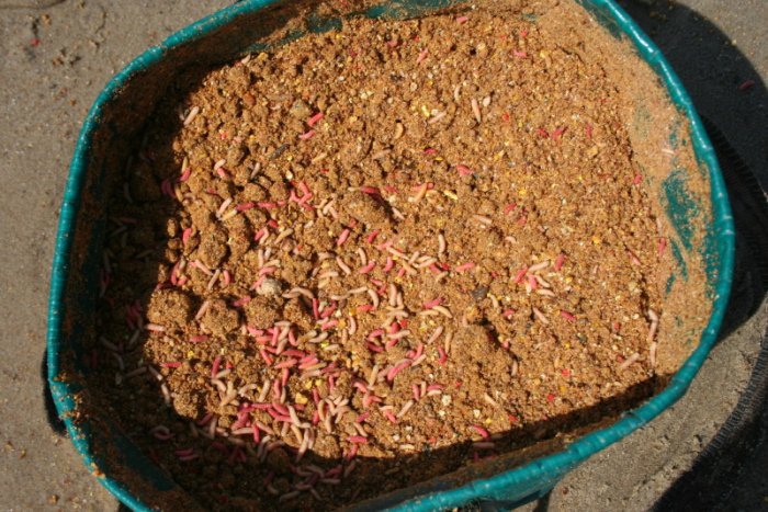 Shrap-Drakers.pl | Shrap Drakers Fishing | Wędkarstwo 