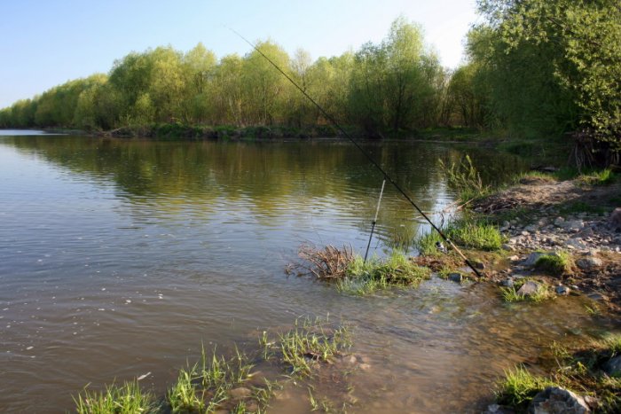 Shrap-Drakers.pl | Shrap Drakers Fishing | Wędkarstwo 