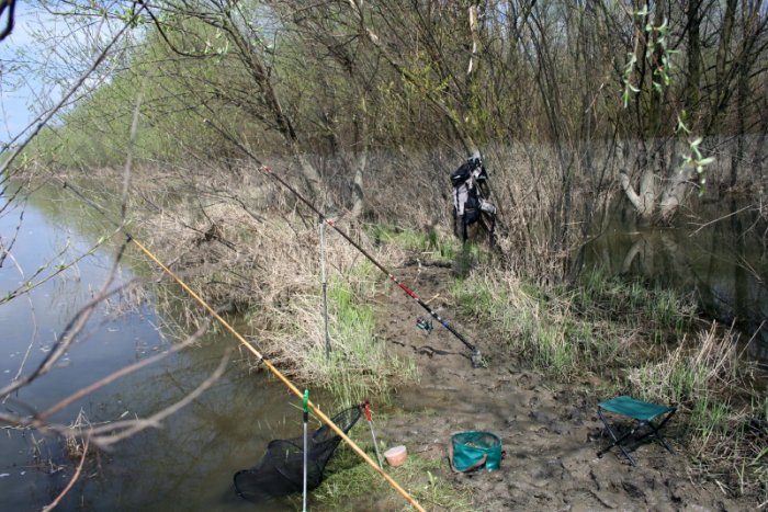 Shrap-Drakers.pl | Shrap Drakers Fishing | Wędkarstwo 