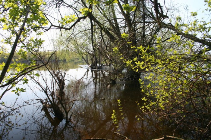 Shrap-Drakers.pl | Shrap Drakers Fishing | Wędkarstwo 