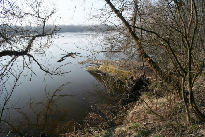 Shrap-Drakers.pl | Shrap Drakers Fishing | Wędkarstwo 