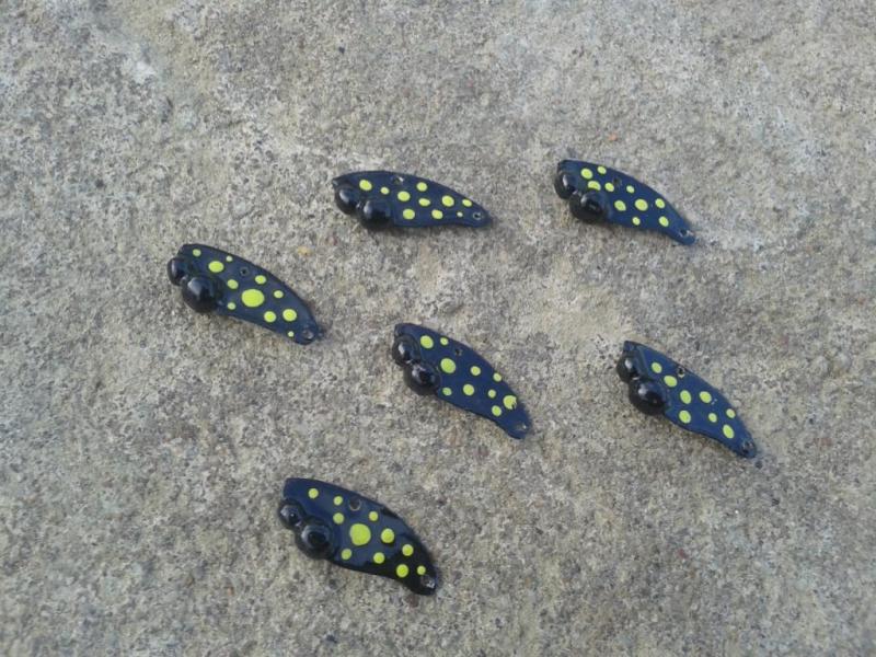 Shrap-Drakers.pl | Shrap Drakers Fishing | Wędkarstwo 