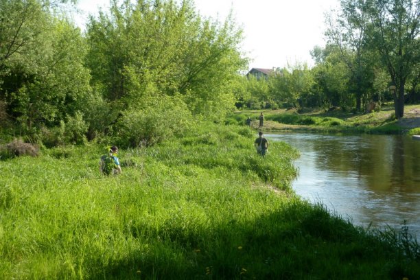 Shrap-Drakers.pl | Shrap Drakers Fishing | Wędkarstwo 