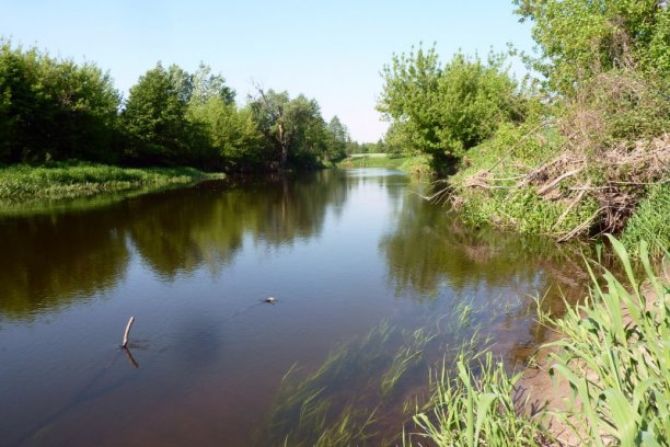 Shrap-Drakers.pl | Shrap Drakers Fishing | Wędkarstwo 