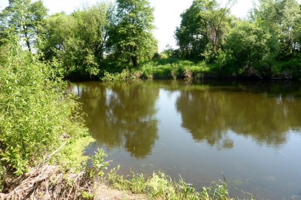 Shrap-Drakers.pl | Shrap Drakers Fishing | Wędkarstwo 