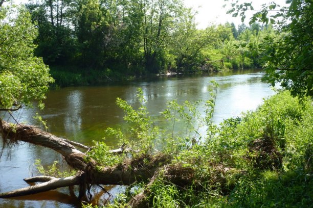 Shrap-Drakers.pl | Shrap Drakers Fishing | Wędkarstwo 