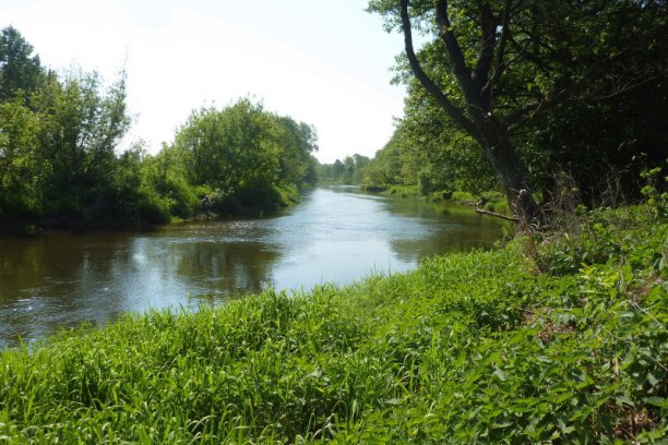 Shrap-Drakers.pl | Shrap Drakers Fishing | Wędkarstwo 