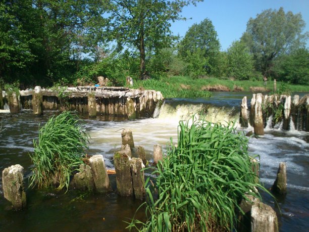 Shrap-Drakers.pl | Shrap Drakers Fishing | Wędkarstwo 