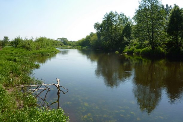 Shrap-Drakers.pl | Shrap Drakers Fishing | Wędkarstwo 