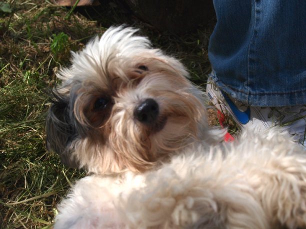 Shrap-Drakers.pl | Shrap Drakers Fishing | Wędkarstwo 