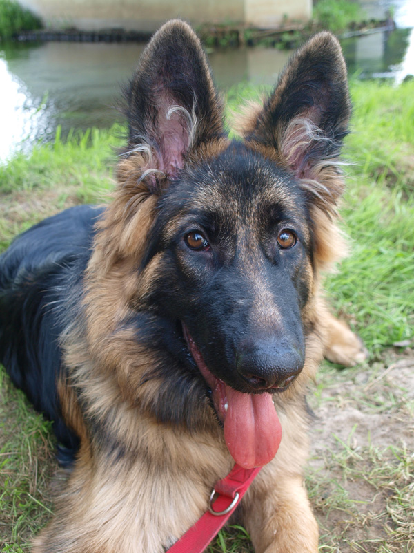 Shrap-Drakers.pl | Shrap Drakers Fishing | Wędkarstwo 