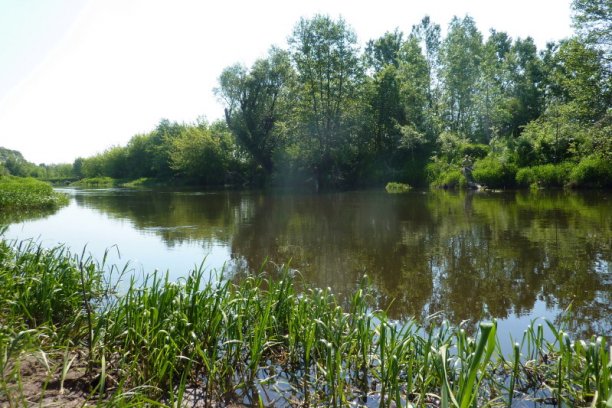 Shrap-Drakers.pl | Shrap Drakers Fishing | Wędkarstwo 