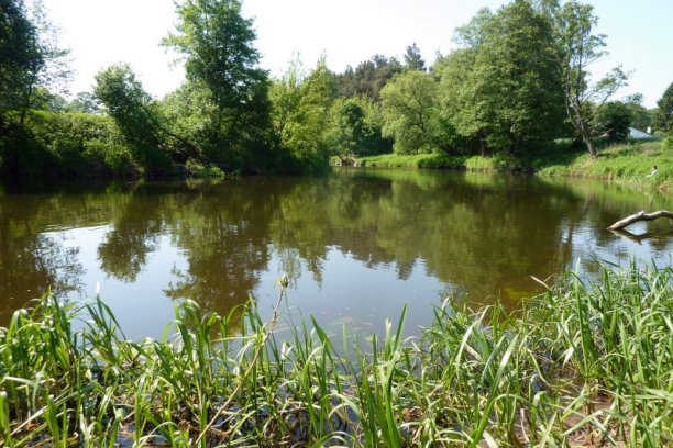 Shrap-Drakers.pl | Shrap Drakers Fishing | Wędkarstwo 