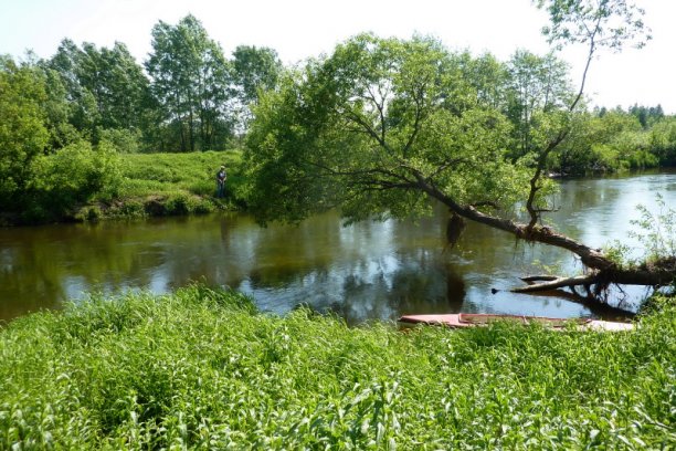 Shrap-Drakers.pl | Shrap Drakers Fishing | Wędkarstwo 