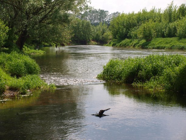 Shrap-Drakers.pl | Shrap Drakers Fishing | Wędkarstwo 