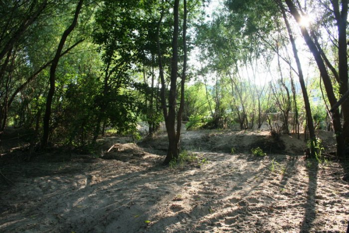 Shrap-Drakers.pl | Shrap Drakers Fishing | Wędkarstwo 