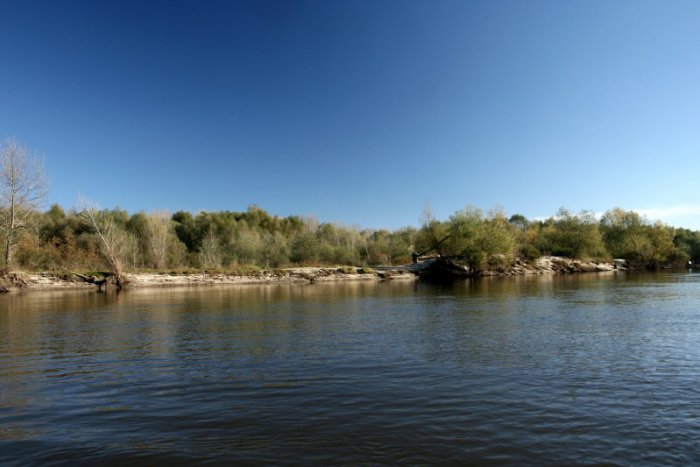 Shrap-Drakers.pl | Shrap Drakers Fishing | Wędkarstwo 