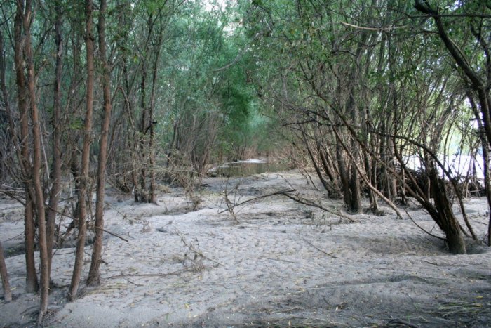 Shrap-Drakers.pl | Shrap Drakers Fishing | Wędkarstwo 