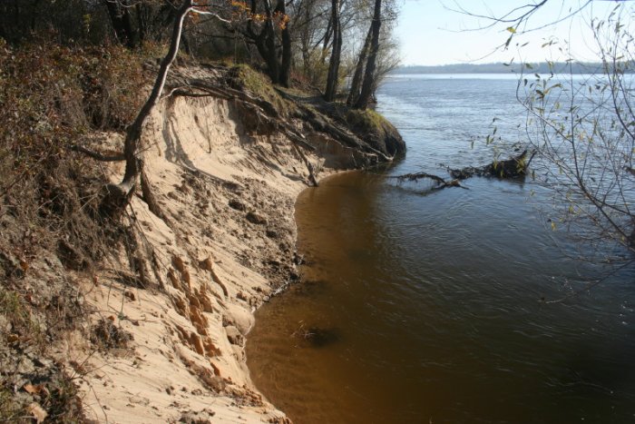 Shrap-Drakers.pl | Shrap Drakers Fishing | Wędkarstwo 