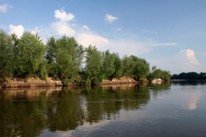 Shrap-Drakers.pl | Shrap Drakers Fishing | Wędkarstwo 