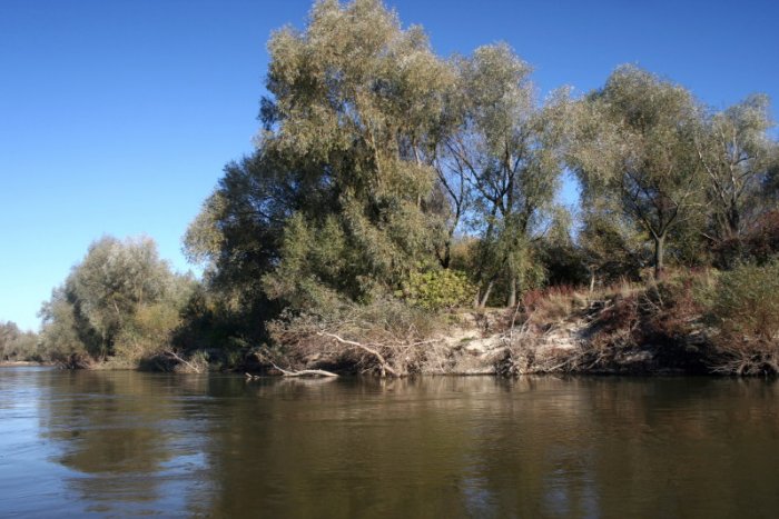 Shrap-Drakers.pl | Shrap Drakers Fishing | Wędkarstwo 