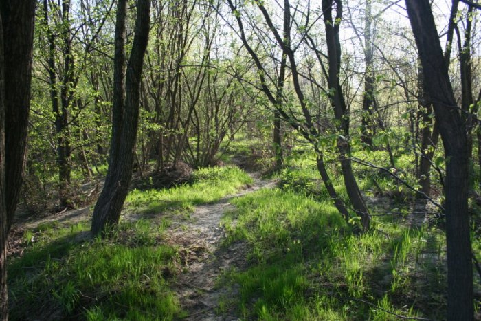 Shrap-Drakers.pl | Shrap Drakers Fishing | Wędkarstwo 