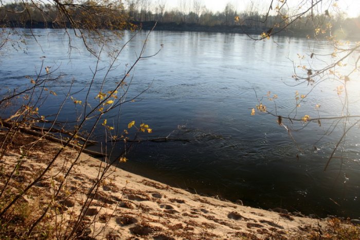 Shrap-Drakers.pl | Shrap Drakers Fishing | Wędkarstwo 