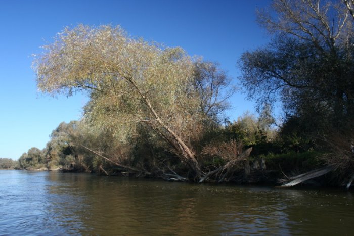 Shrap-Drakers.pl | Shrap Drakers Fishing | Wędkarstwo 