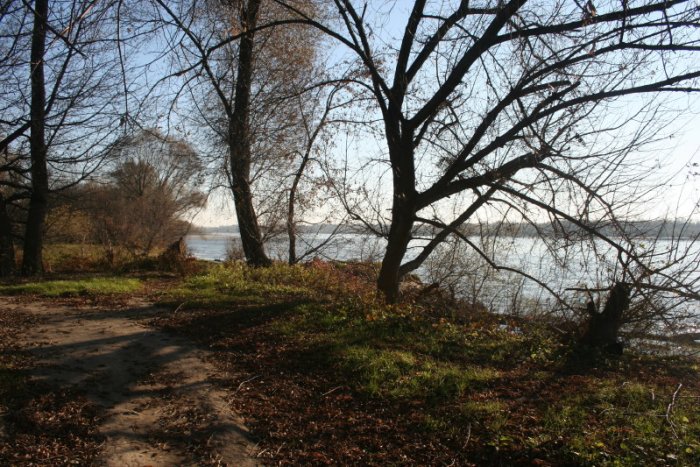 Shrap-Drakers.pl | Shrap Drakers Fishing | Wędkarstwo 