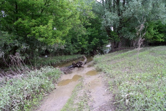 Shrap-Drakers.pl | Shrap Drakers Fishing | Wędkarstwo 