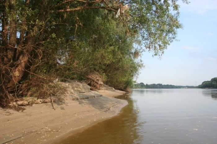 Shrap-Drakers.pl | Shrap Drakers Fishing | Wędkarstwo 