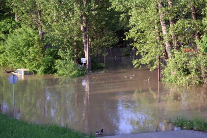 Shrap-Drakers.pl | Shrap Drakers Fishing | Wędkarstwo 