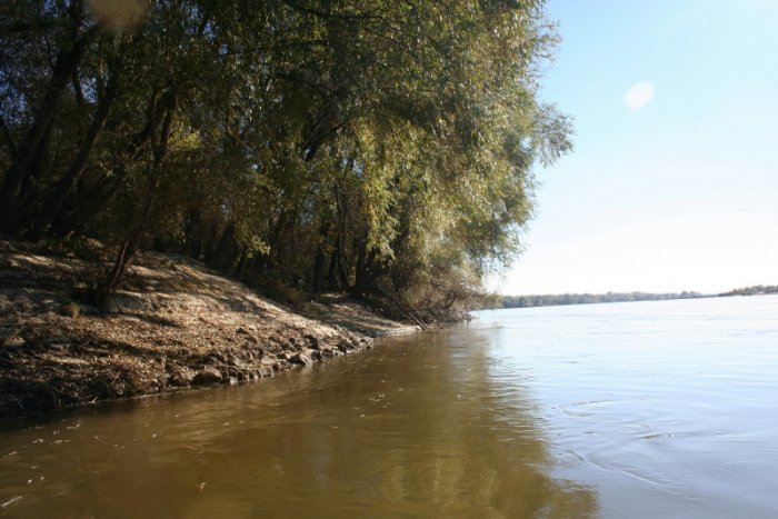 Shrap-Drakers.pl | Shrap Drakers Fishing | Wędkarstwo 