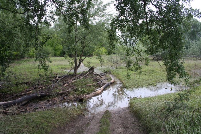 Shrap-Drakers.pl | Shrap Drakers Fishing | Wędkarstwo 