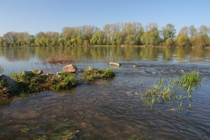 Shrap-Drakers.pl | Shrap Drakers Fishing | Wędkarstwo 