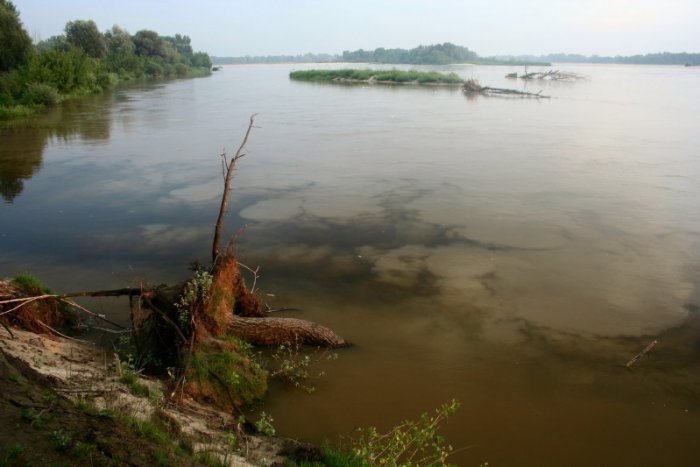 Shrap-Drakers.pl | Shrap Drakers Fishing | Wędkarstwo 
