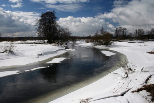 Shrap-Drakers.pl | Shrap Drakers Fishing | Wędkarstwo 